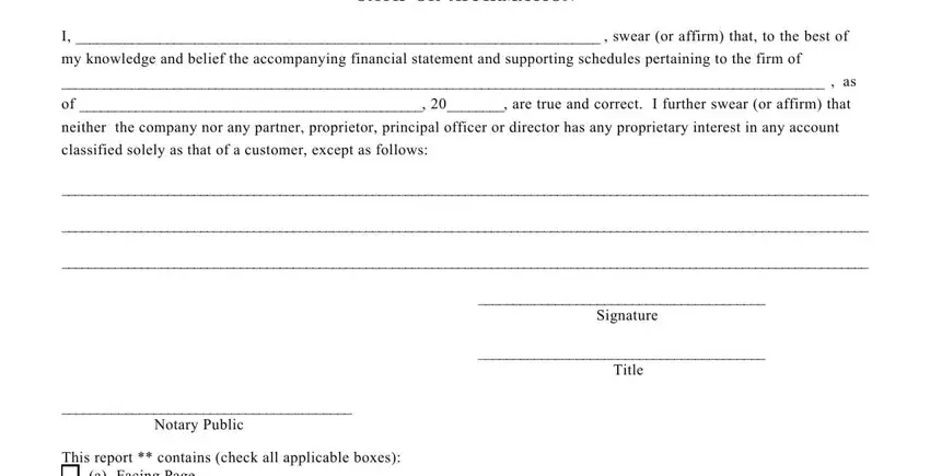 Filling in section 3 of sec designation of accountant form