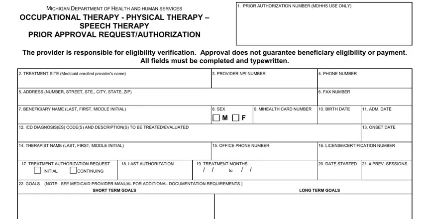 michigan physical therapy prior authorization completion process explained (step 1)