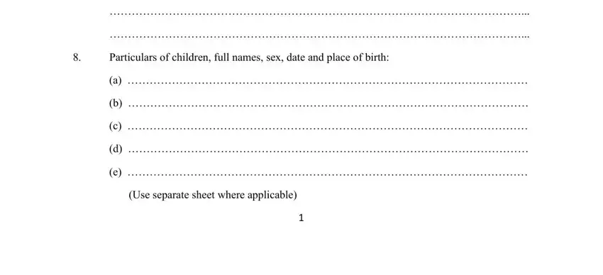 Particulars of children full names, Use separate sheet where applicable, and Use separate sheet where applicable of application form for work permit