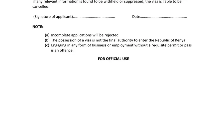 kenya visa on arrival form conclusion process described (portion 4)