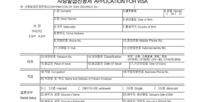 Writing section 1 of application form for visa to south korea