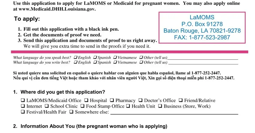Filling out section 1 of application lamoms medicaid