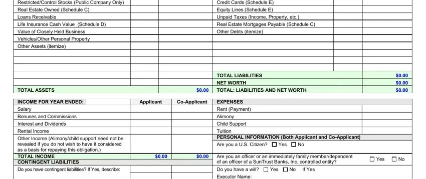 blank suntrust bank statement completion process outlined (portion 2)