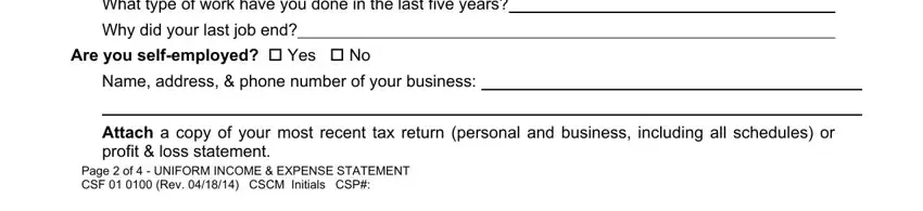 Step number 5 of filling in Form Csf 01 0100