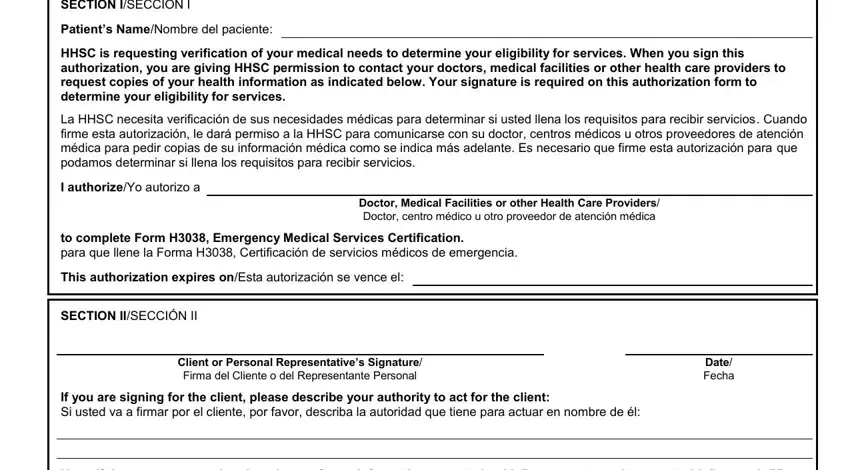 to complete Form H Emergency, Doctor Medical Facilities or other, and Patients NameNombre del paciente of 3038 form