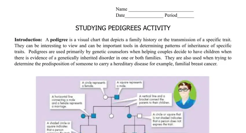studying pedigrees writing process detailed (stage 1)