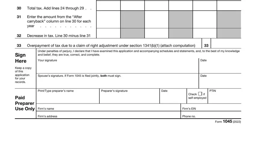 Part number 5 in completing Form 1045