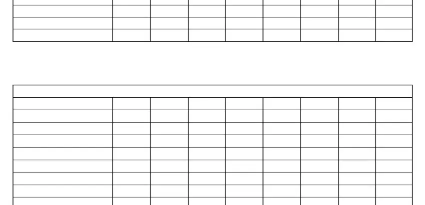 pdf ledger sheet writing process shown (portion 2)