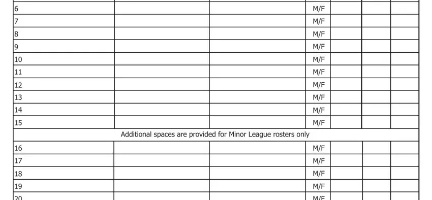 Little League Blank Roster PDF Form - FormsPal