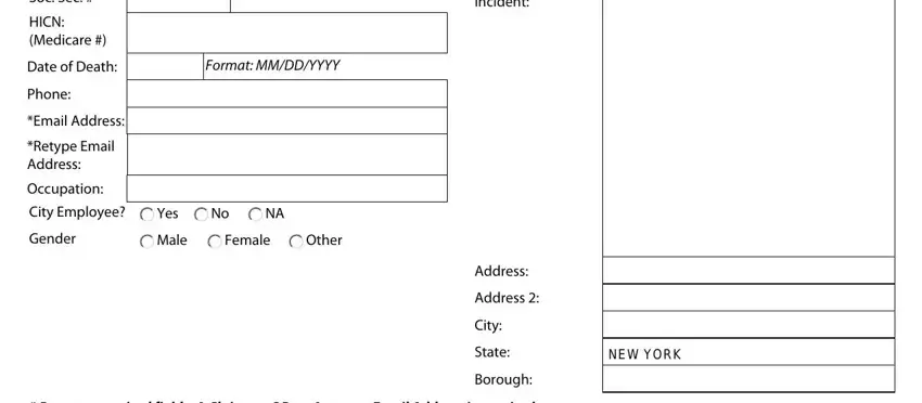 Retype Email Address, Format MMDDYYYY, and Email Address inside ny lottery claim form pdf