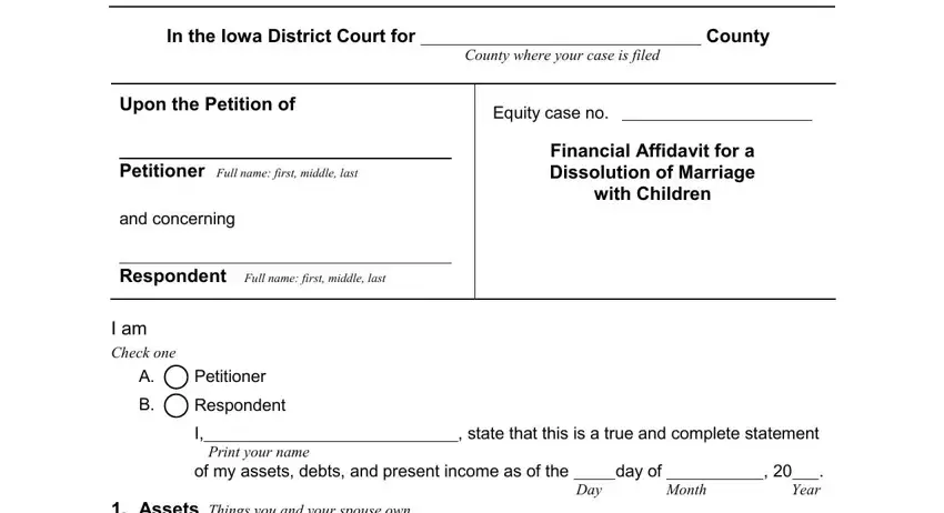 Filling in segment 1 of iowa form financial affidavit dissolution marriage