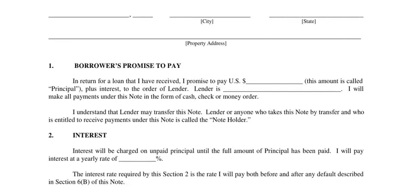 Filling in part 1 of promissory note with balloon payment template