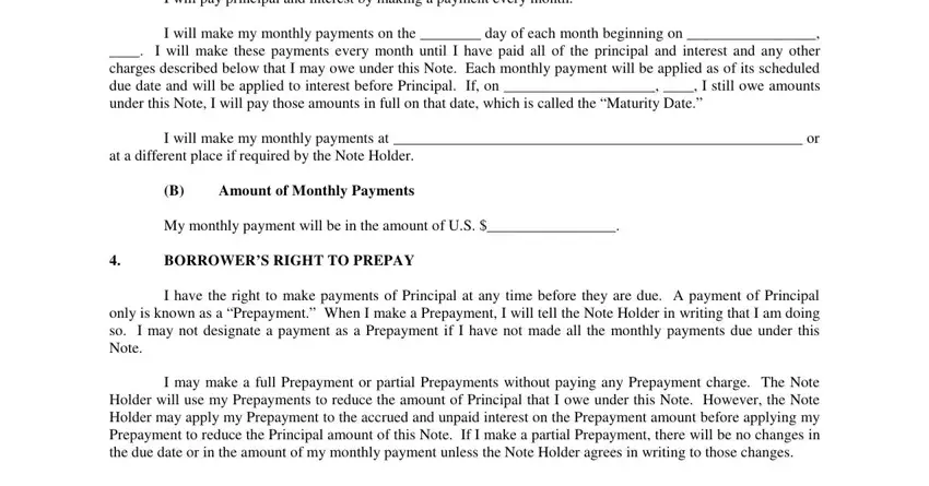 promissory note with balloon payment template writing process shown (stage 2)