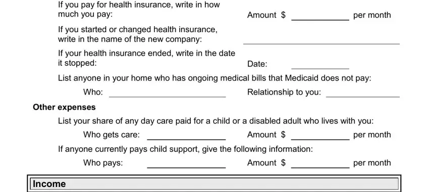 Filling out section 3 in iowa dhs forms