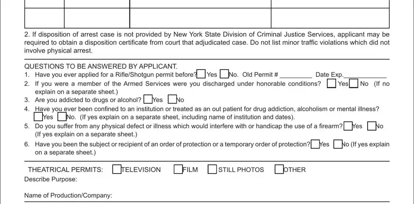 on a separate sheet, Name of ProductionCompany, and FILM  STILL PHOTOS  OTHER of nyc pistol permit application pdf