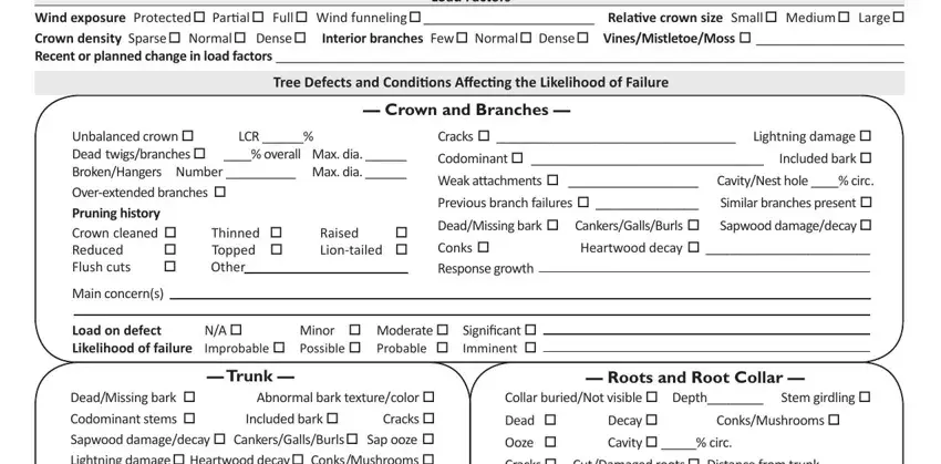 tree risk assessment pdf conclusion process clarified (step 2)