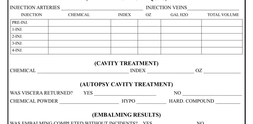 Embalming Report Example Form Fill Out And Sign Print 2088