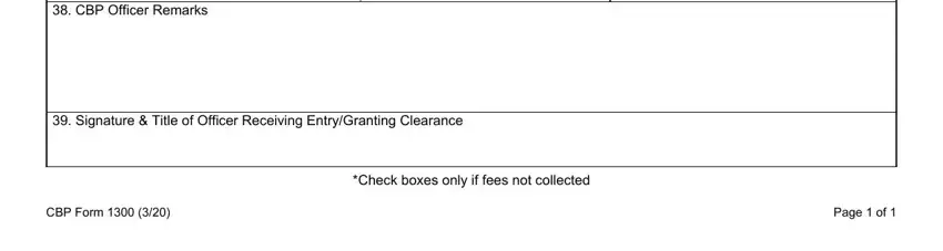 Part no. 3 for filling out cbp form 1300 instructions