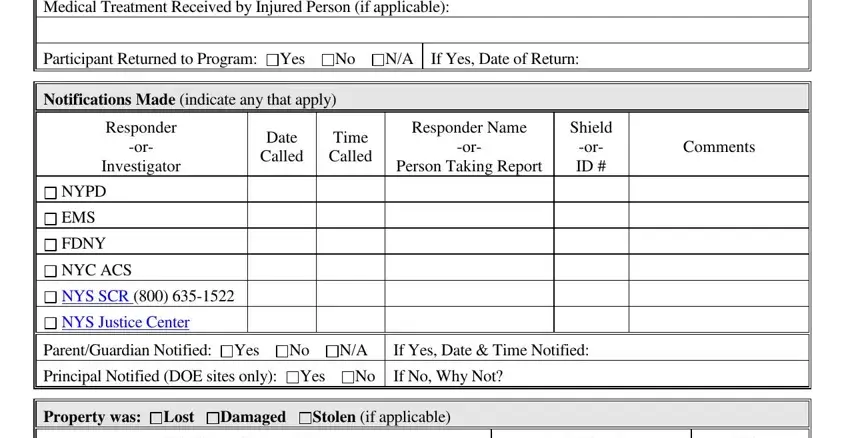 Comments, Person Taking Report, and Medical Treatment Received by inside dycd form pdf
