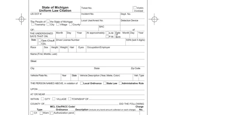 Tips on how to prepare state of michigan uniform law citation form portion 1