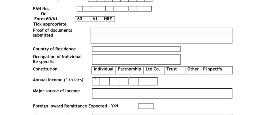 Individual Partnership Ltd Co Trust, Tick appropriate, and Mothers Name Date of birth DDMMYYYY in union bank online kyc