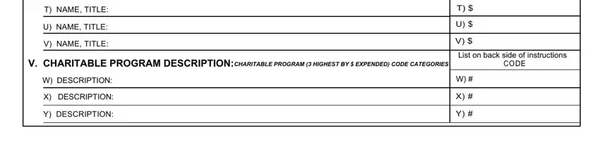 CODE, T NAME TITLE, and Y DESCRIPTION inside illinois charitable organization annual report