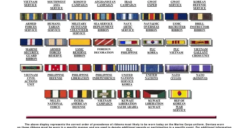 Guidelines on how to fill out usmc ribbons chart stage 2