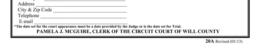 Illinois Form 20A completion process outlined (portion 3)