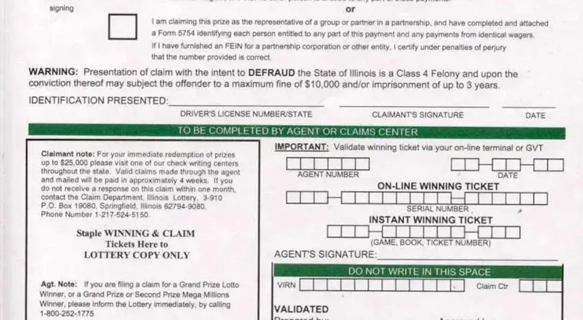 this field, next field, and other fields inside illinois lottery forms