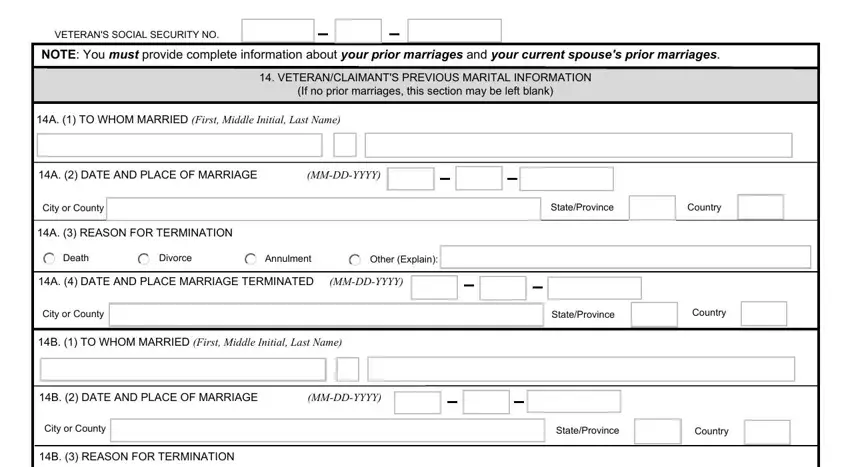 Filling in section 3 in va form 21 686c fillable
