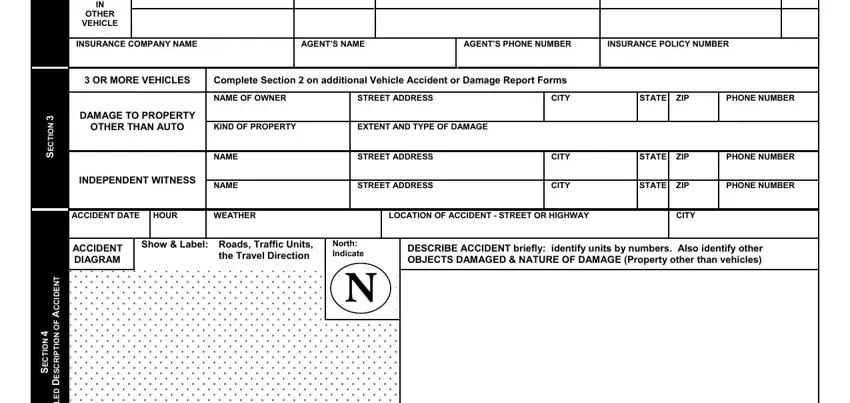 AGENTS NAME, Complete Section  on additional, and OR MORE VEHICLES in Vehicle Accident Or Damage Report Form