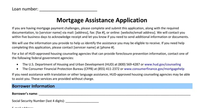 Filling in section 1 of borrower assistance form 710