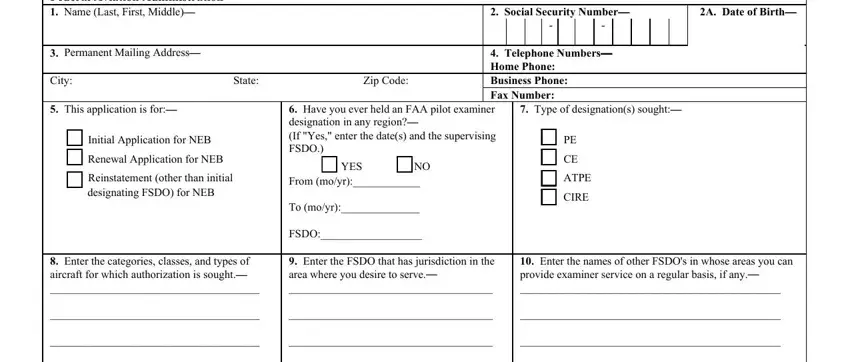 Permanent Mailing Address, A Date of Birth, and Have you ever held an FAA pilot in 8710 national board form