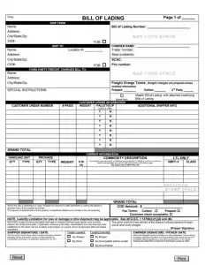 Bill of Lading Form Preview