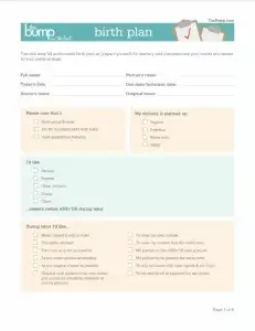 Birth Plan Form Preview