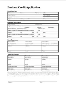 Business Credit Application Template Preview