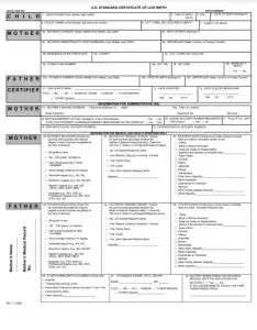 CDC US Standard Certificate of Live Birth Preview