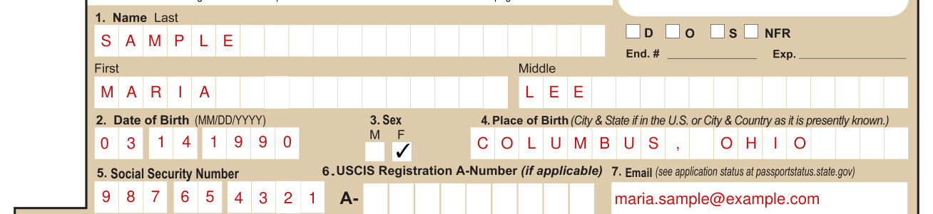 Form DS-11 example filled out, name, Date of Birth, Sex and Place of Birth