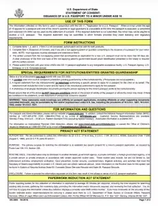 US Passport Parental Consent Form DS-3053 Preview