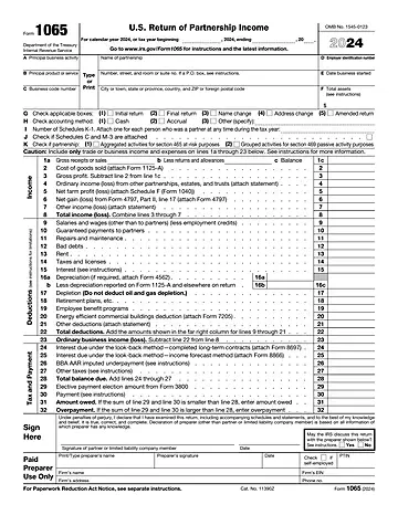 IRS Form 1065 Preview