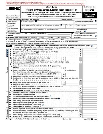 IRS Form 990-EZ Preview