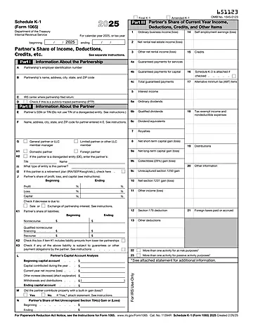 IRS Schedule K-1 Form 1065 Preview