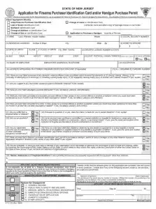 NJSP Form STS 033 Preview