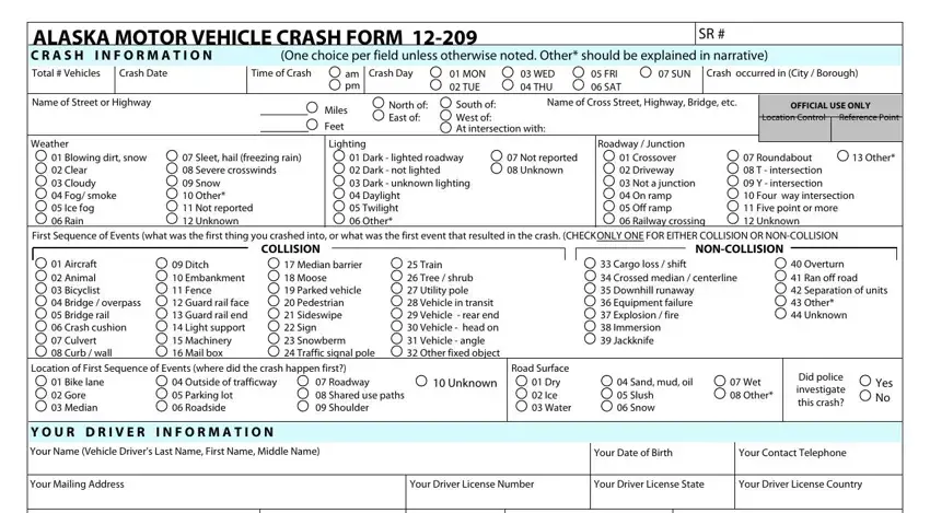 portion of blanks in alaska crash report