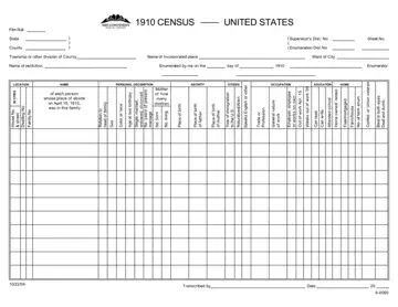 1910 Census Form Preview