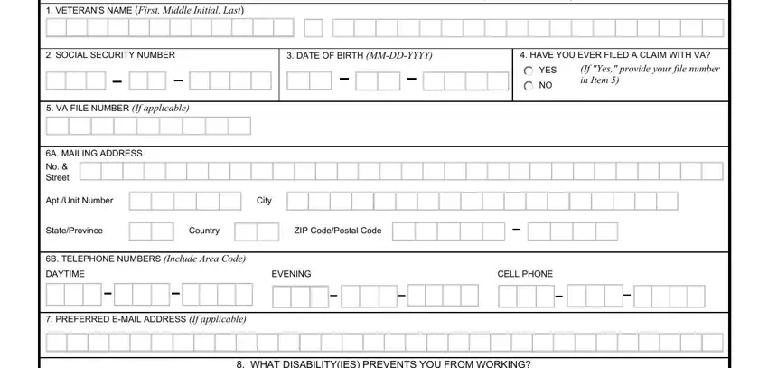 va form 21 527ez application for pension  fields to insert
