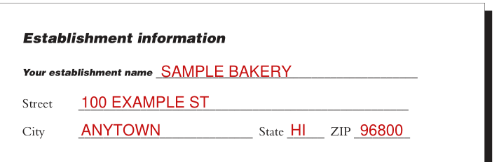 Form 300A example filled out, establishment information