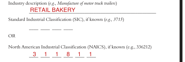 Form 300A example filled out, industry description and classification