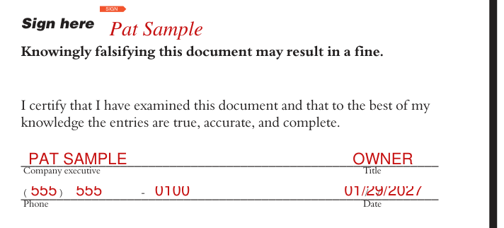 Form 300A example filled out, sign here