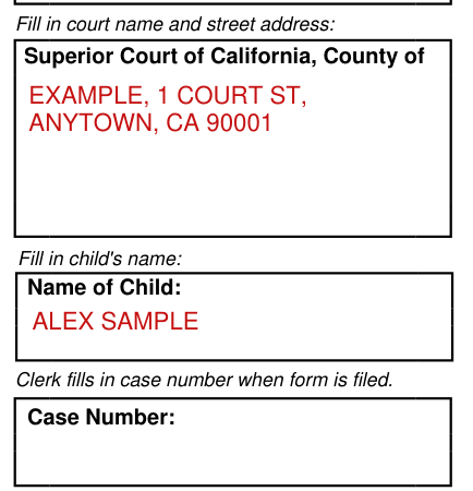 Form JV-180 example filled out, court name and child's name